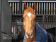 BP200326-80 - It's Hard To Know